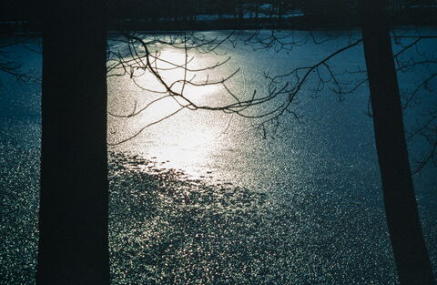 Film photograph 3
