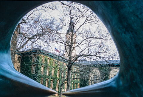 Film photograph 4