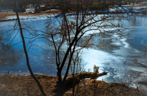 Film photograph 7