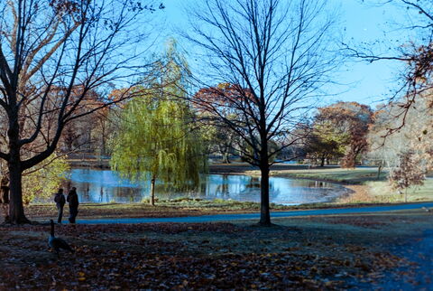 Film photograph 12