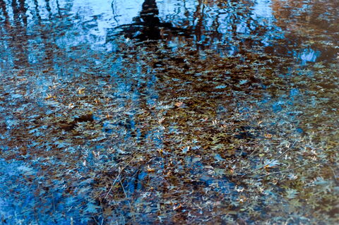 Film photograph 13