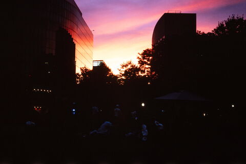 Film photograph 16