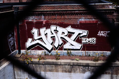 Film photograph 18