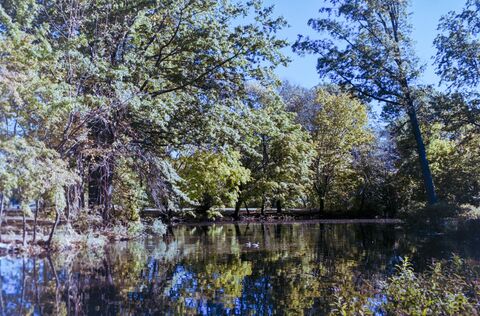 Film photograph 24