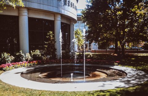 Film photograph 27