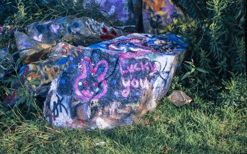 Film photograph 28