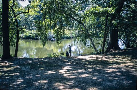 Film photograph 31