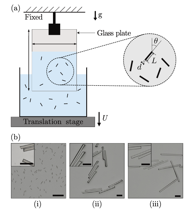 Experimental setup from 'Deposition and alignment of fiber suspensions by dip coating' — translation stage with fiber suspension and aligned-fiber micrographs.